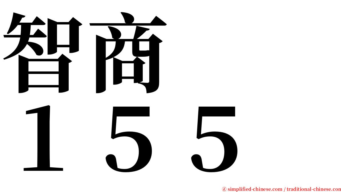 智商　　１５５ serif font